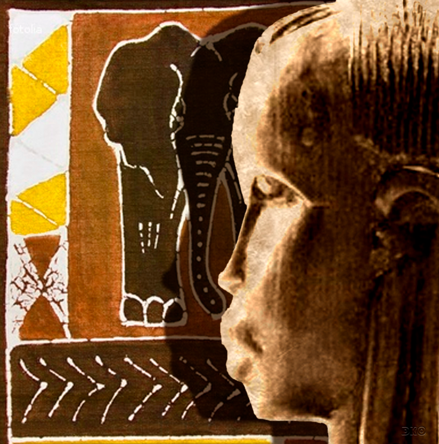 interrupteur DÉCORÉ africa 3